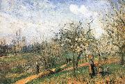 Camille Pissarro Pang map of apple Schwarz oil painting artist